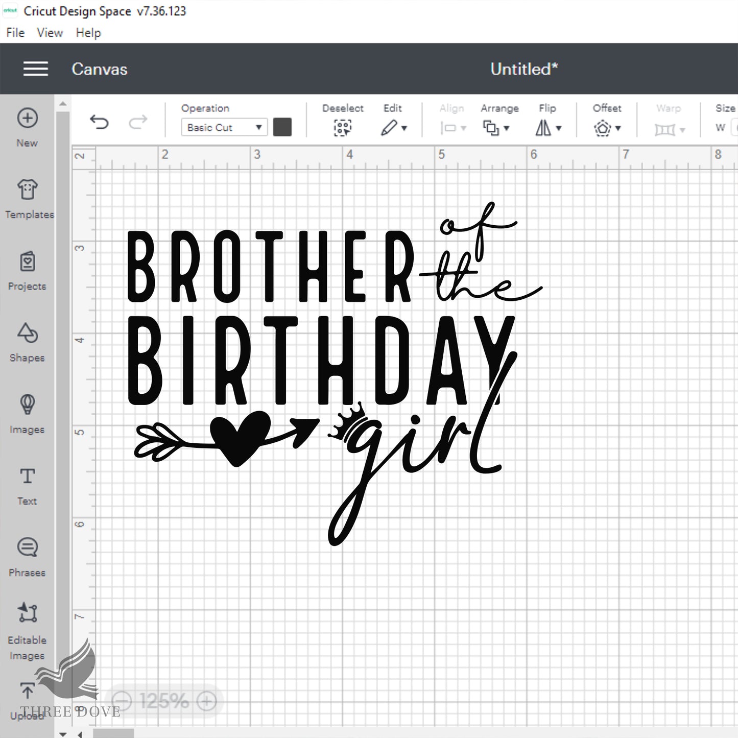 brother of the birthday girl svg