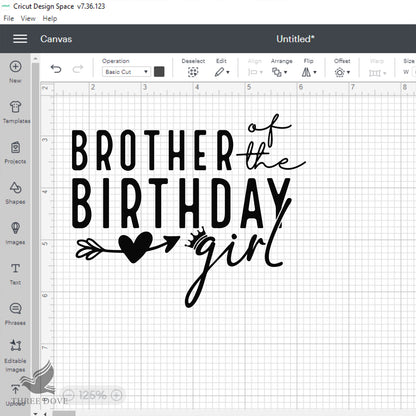 Brother of the birthday girl SVG