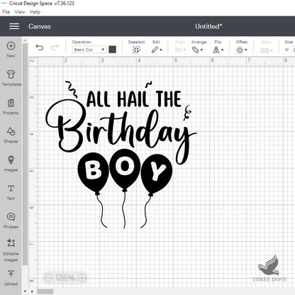 Birthday Boy SVG Bundle