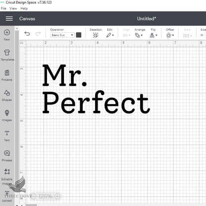 Mr. & Mrs. Perfect Matching SVG