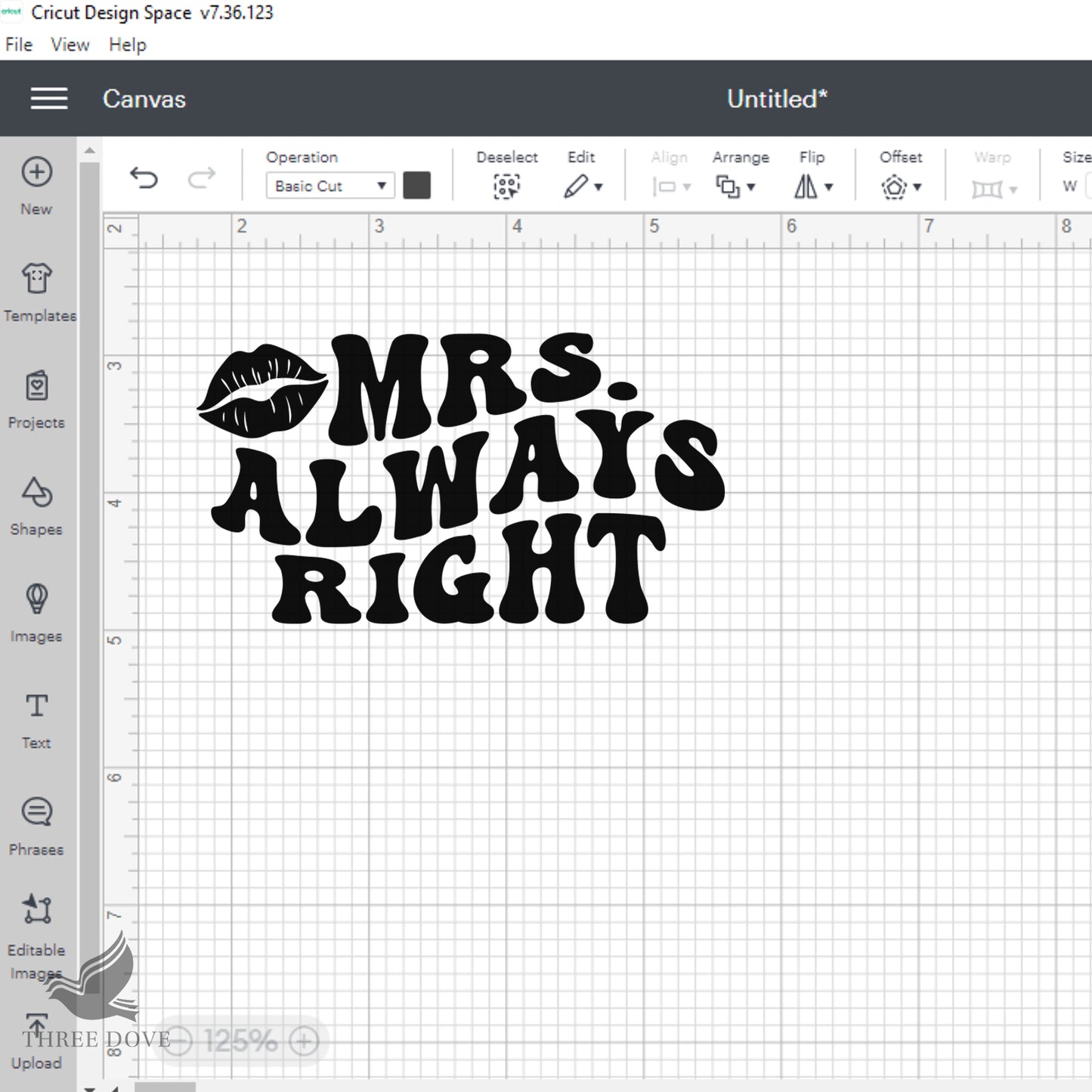 mr. right and mrs. always right couple couple matching svg