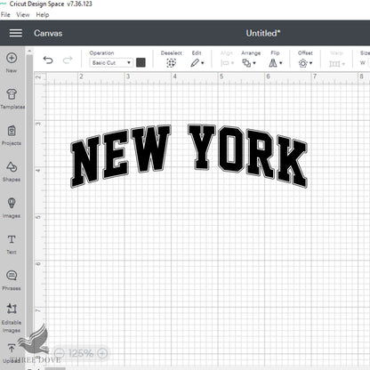 Retro New York Varsity SVG