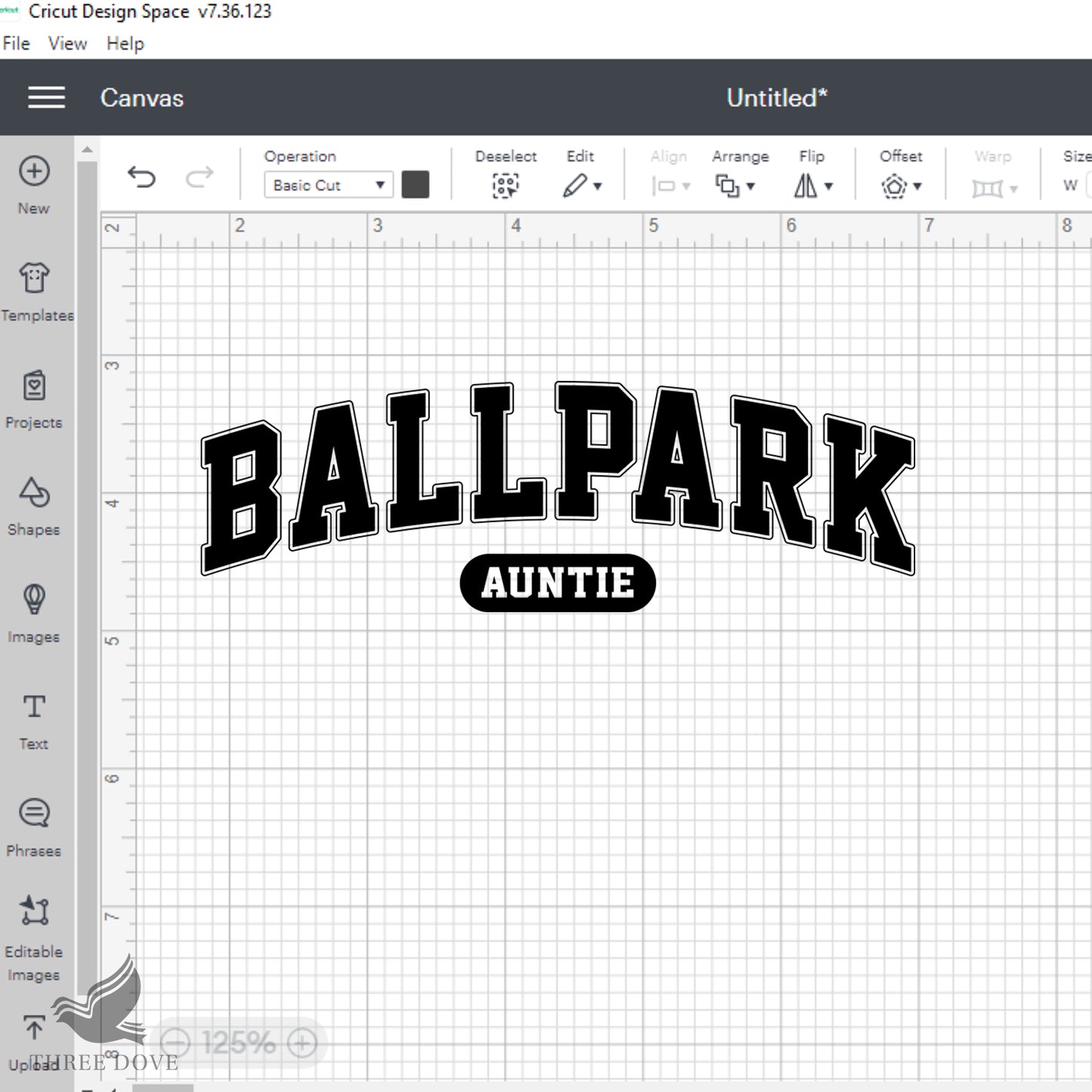 retro ballpark auntie varsity svg