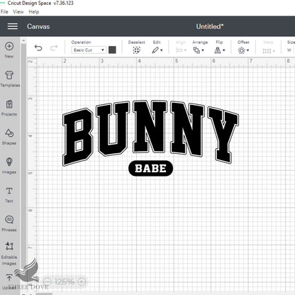 Retro Bunny Babe Varsity SVG