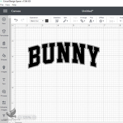 Retro Bunny Varsity SVG