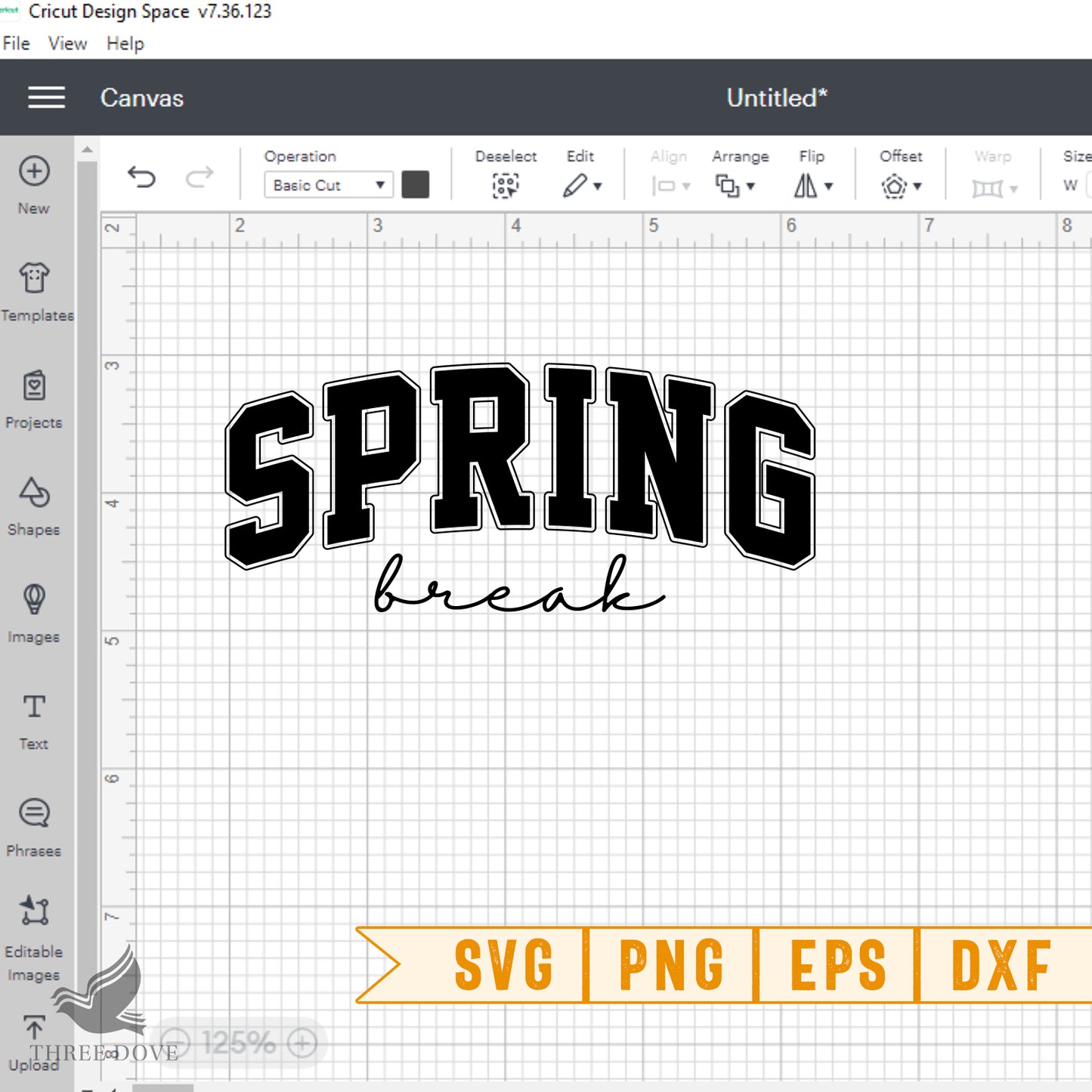 spring break varsity svg