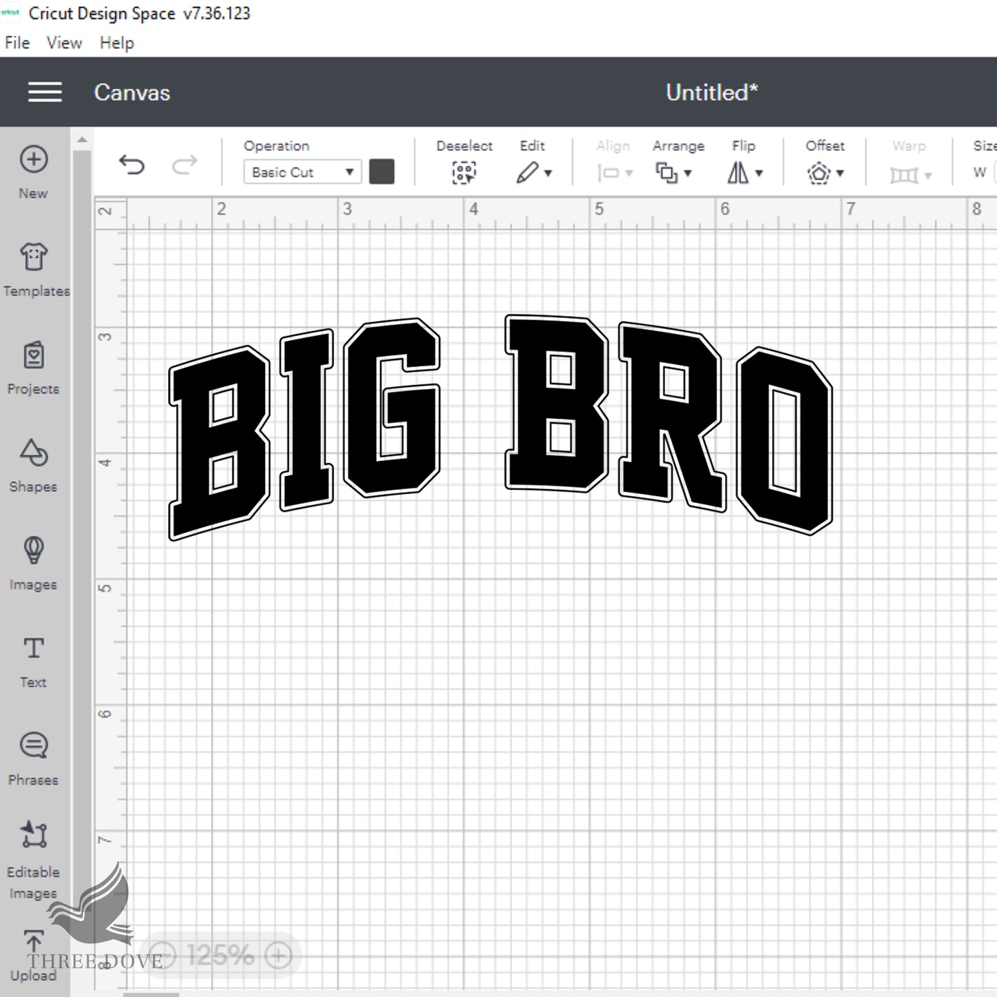 retro big bro varsity svg