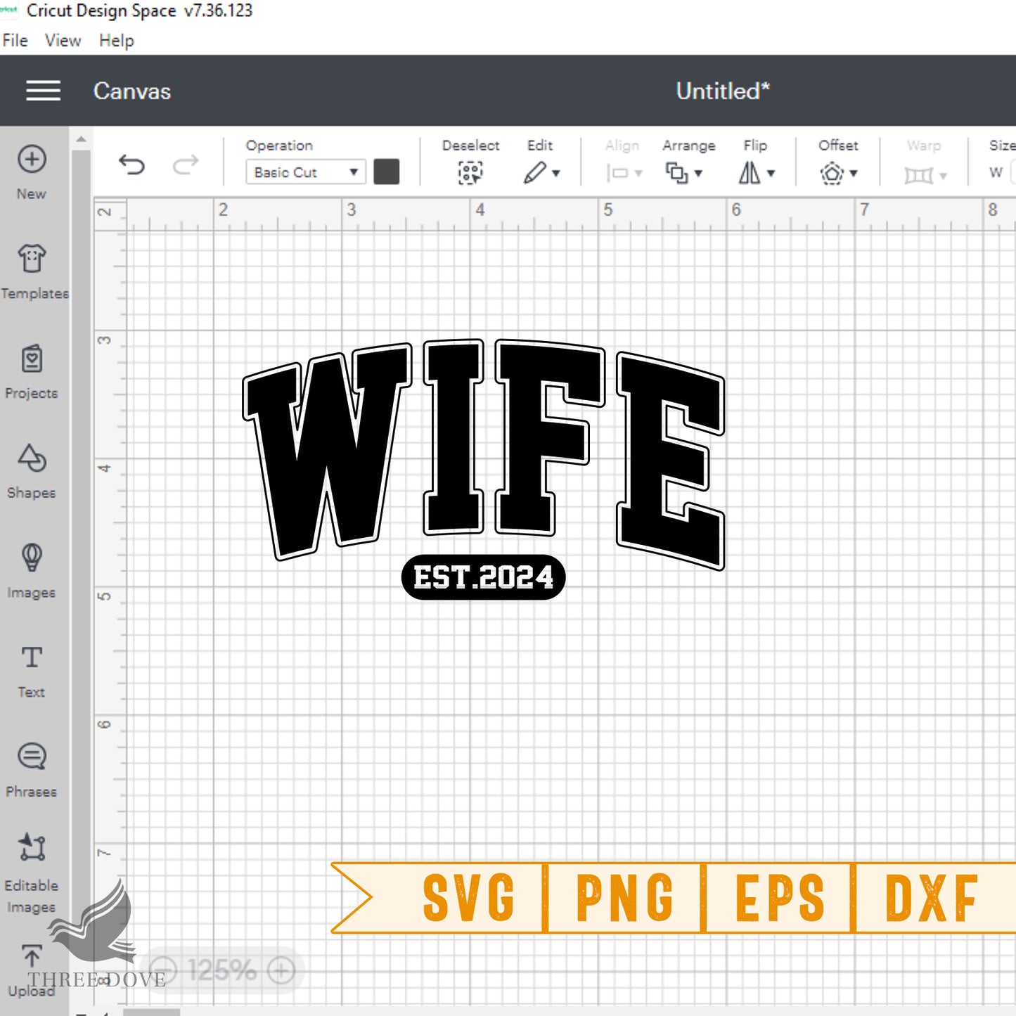 retro wife est.2024 varsity svg