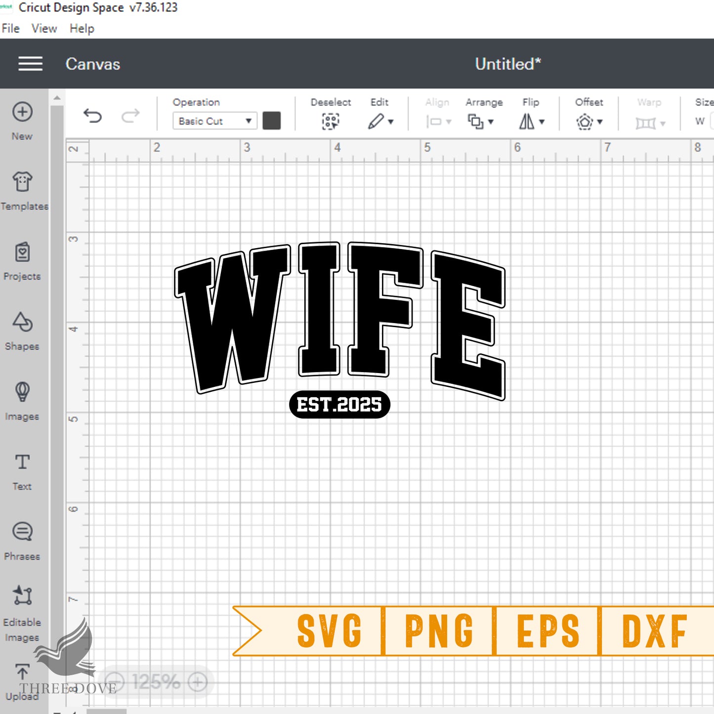 retro wife est.2025 varsity svg