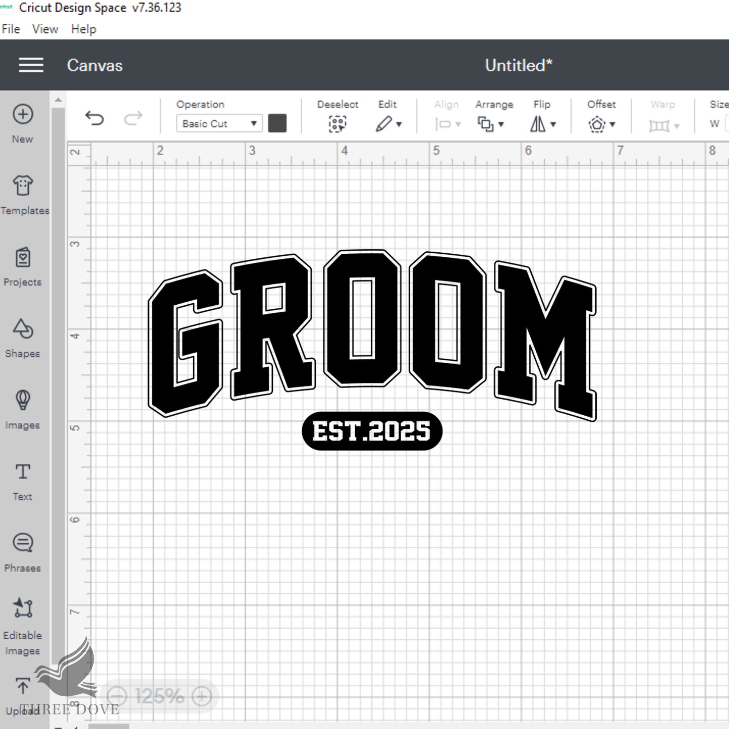 retro groom est.2025 varsity svg