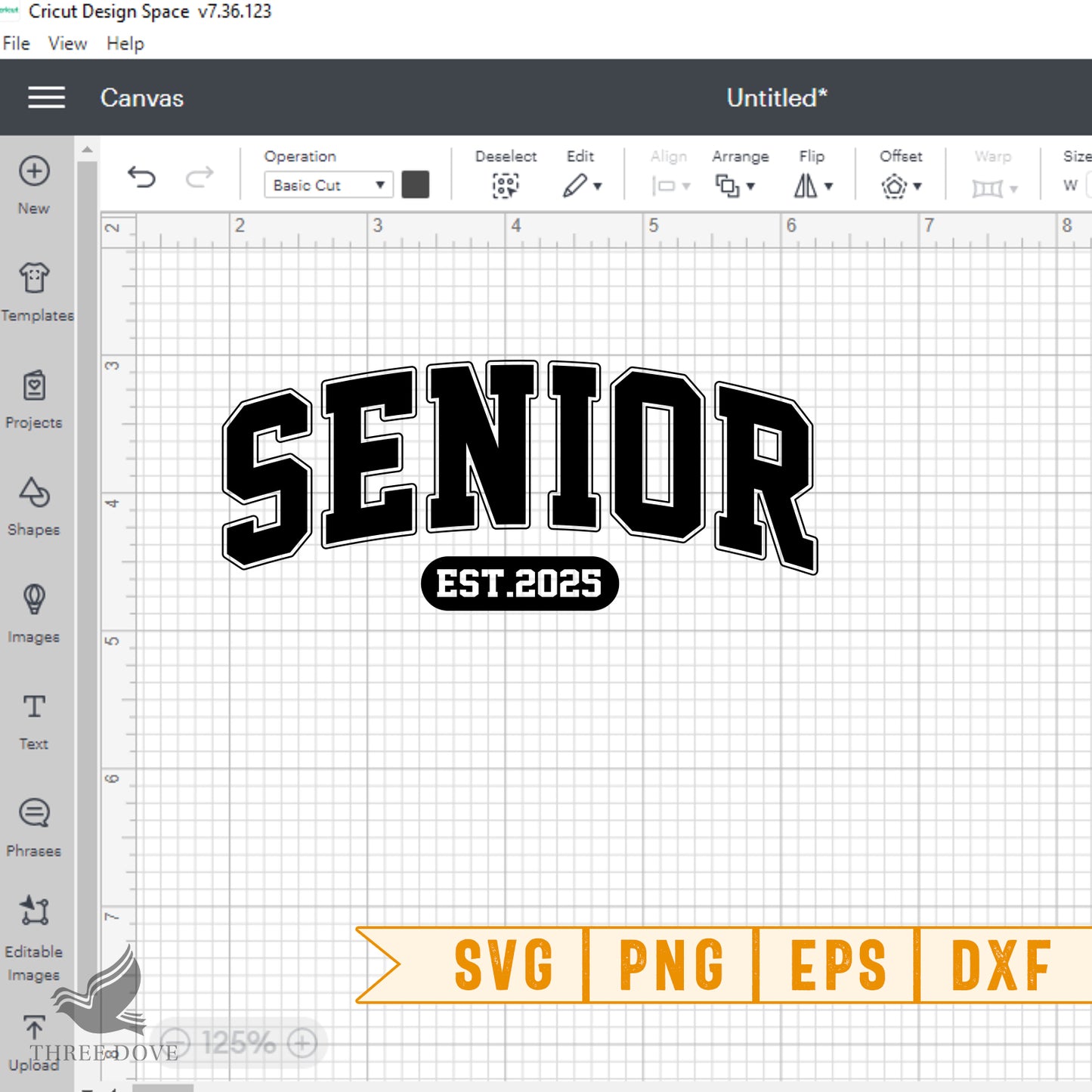 retro senior est.2025 varsity svg