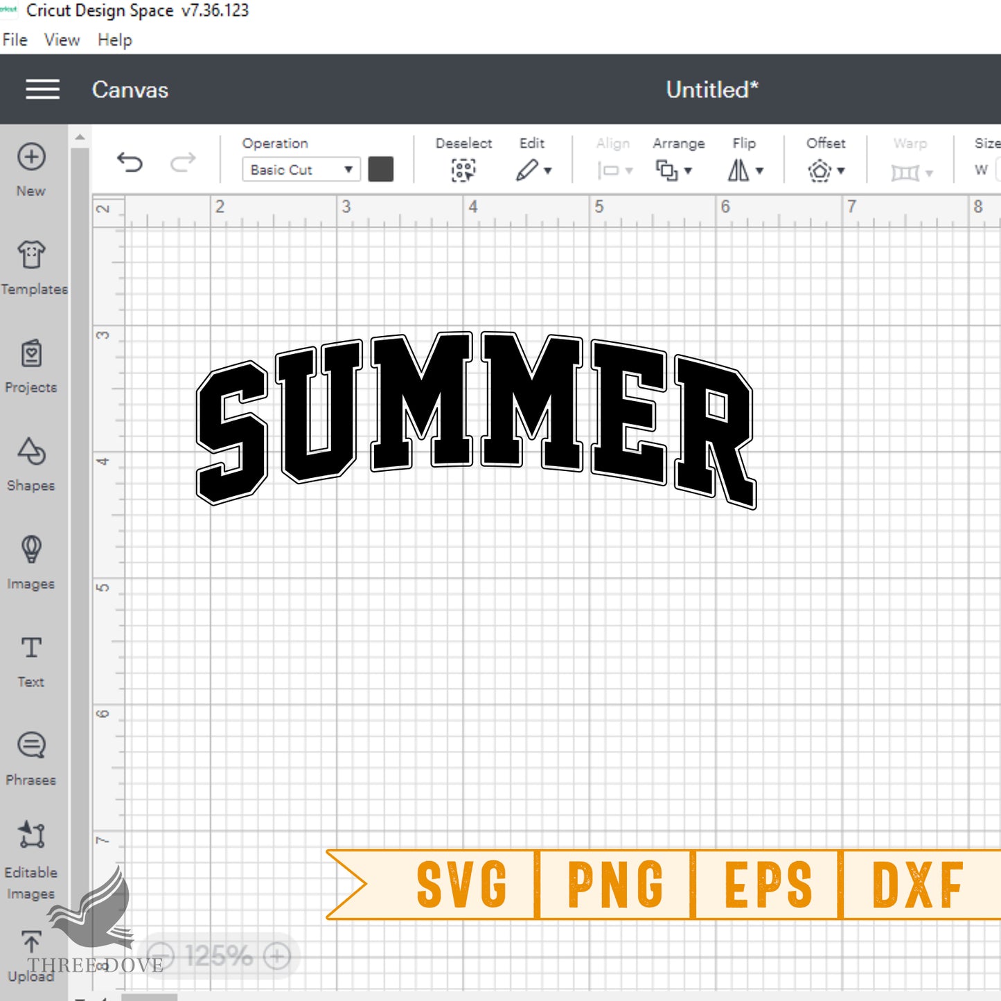 summer vibes varsity svg