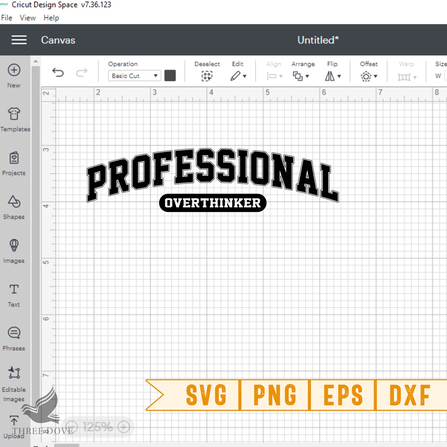 professional overthinker varsity svg