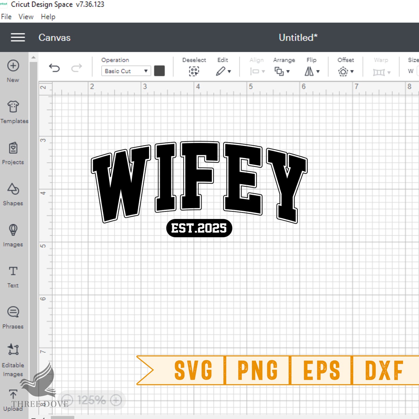 retro wifey est.2025 varsity svg