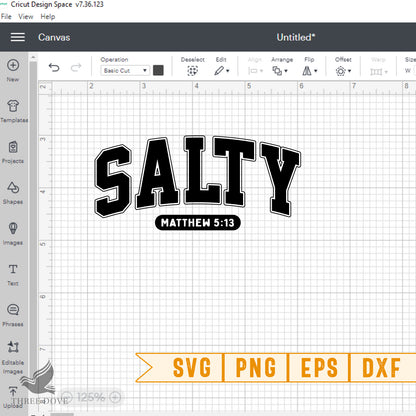 Retro Salty Matthew Varsity SVG