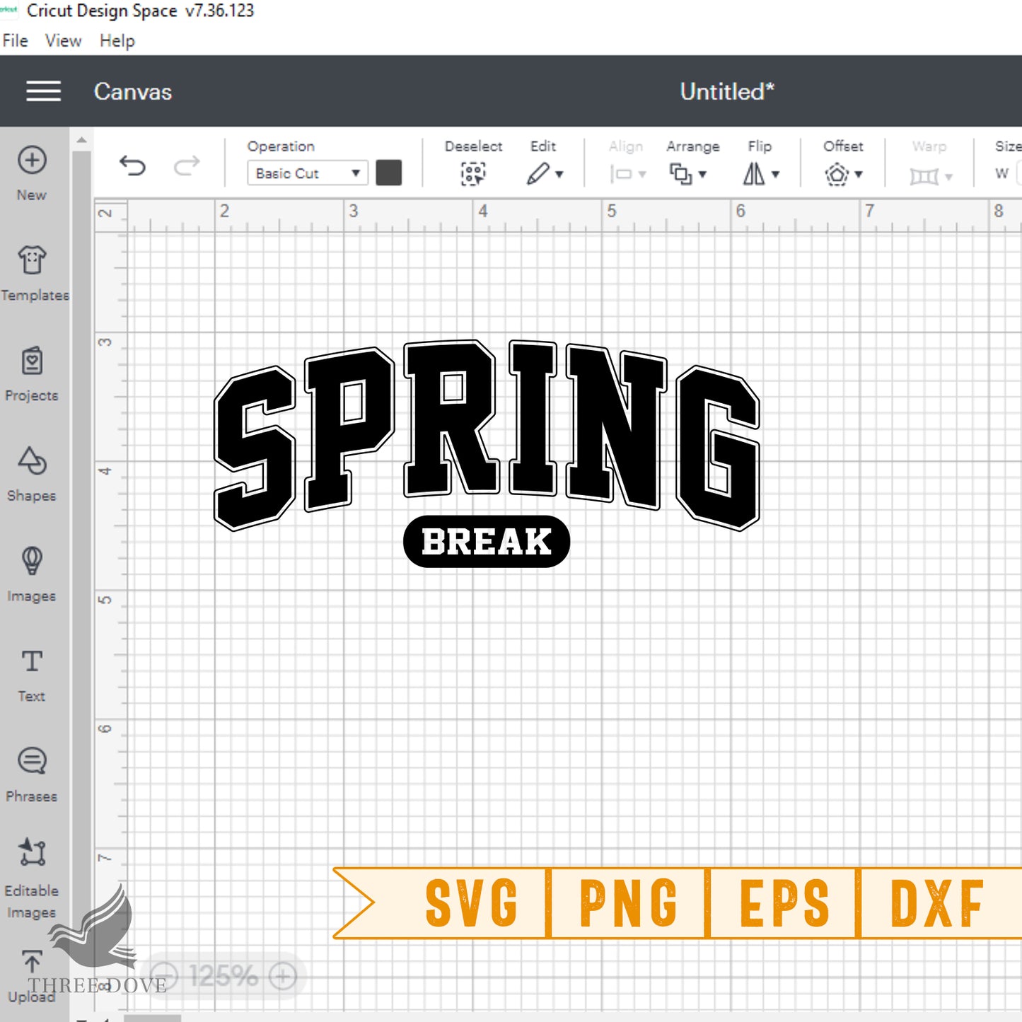 retro spring break varsity svg