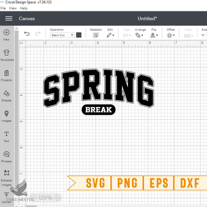 Retro Spring Break Varsity SVG