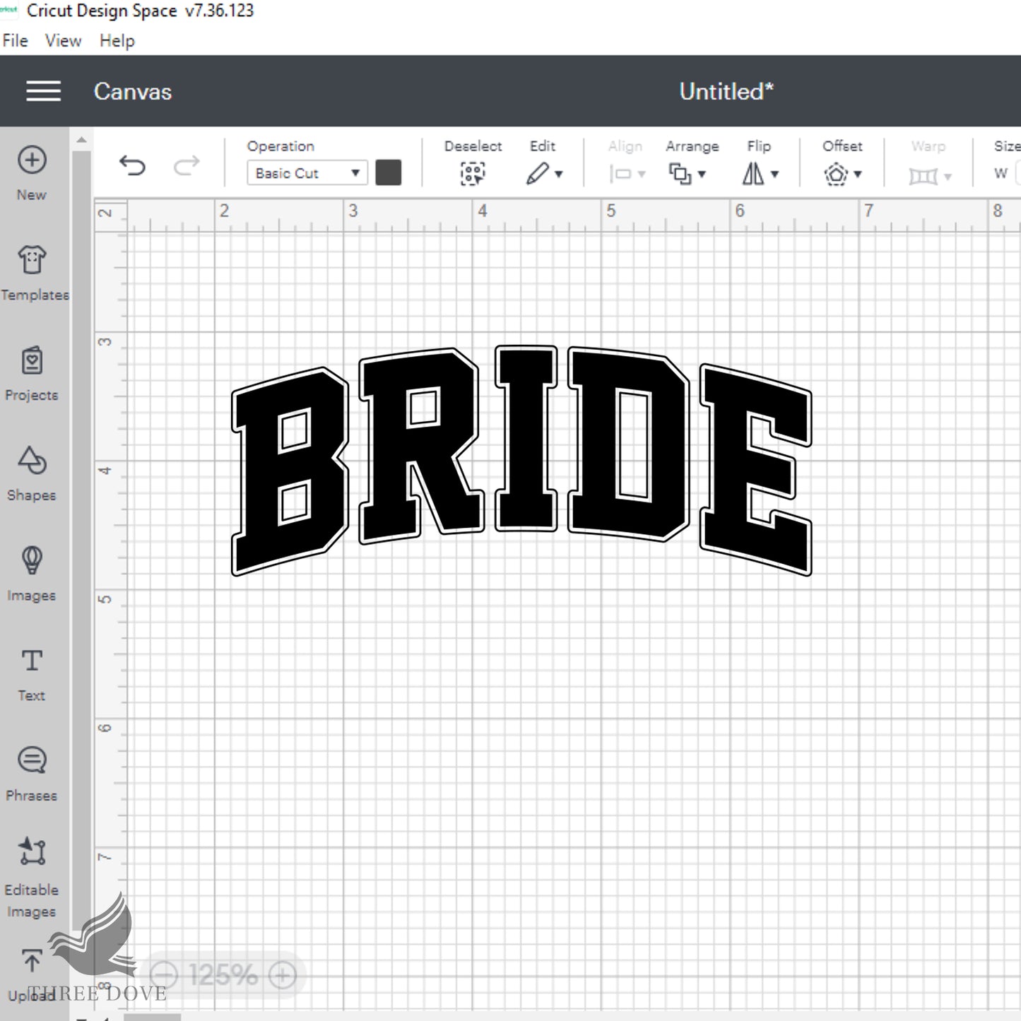 retro bride varsity svg