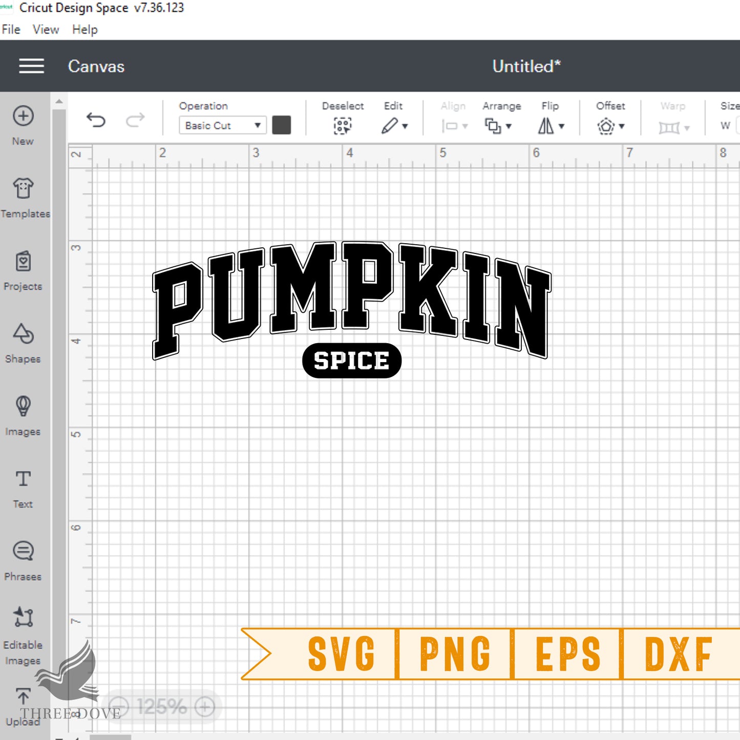 pumpkin spice varsity svg