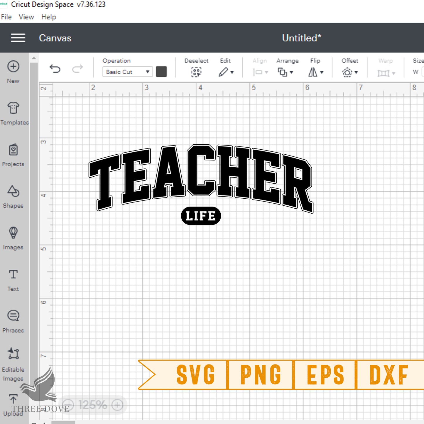 teacher life varsity svg