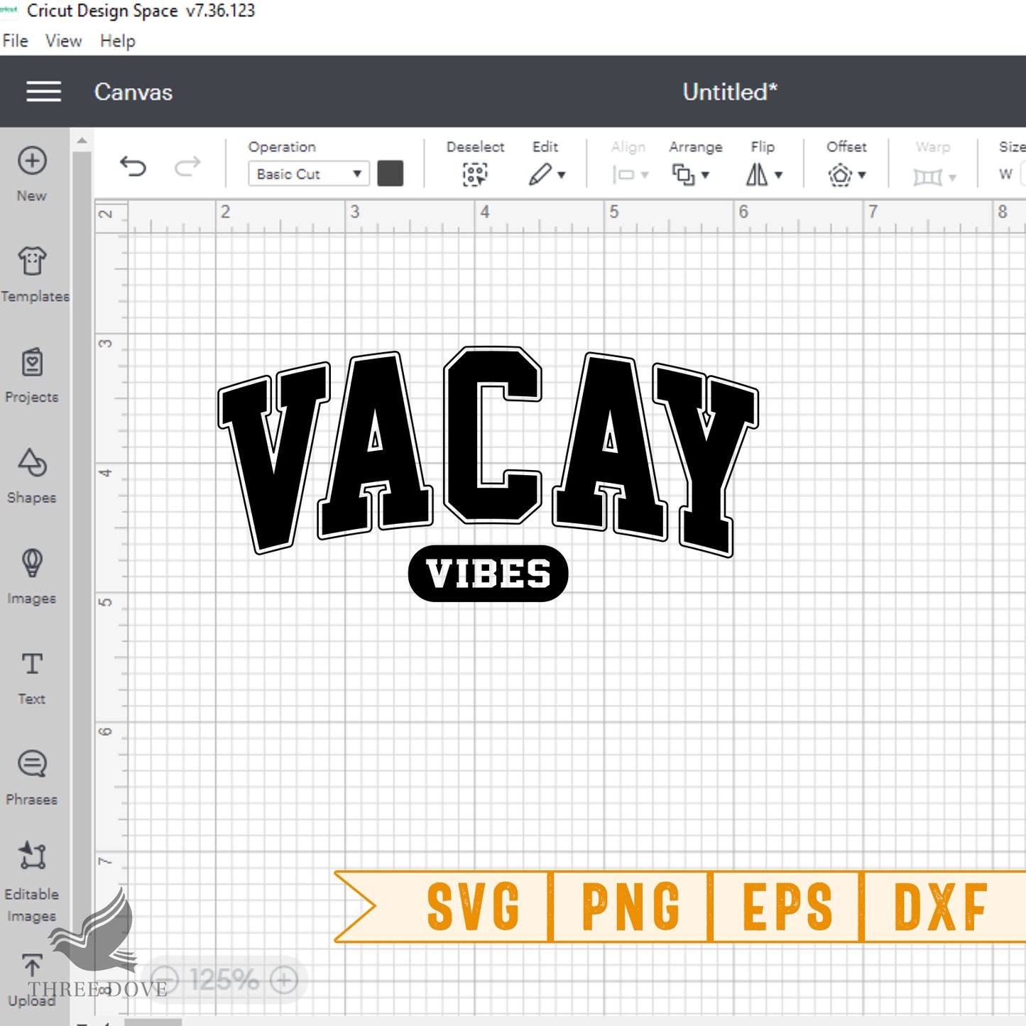 vacay vibes varsity svg