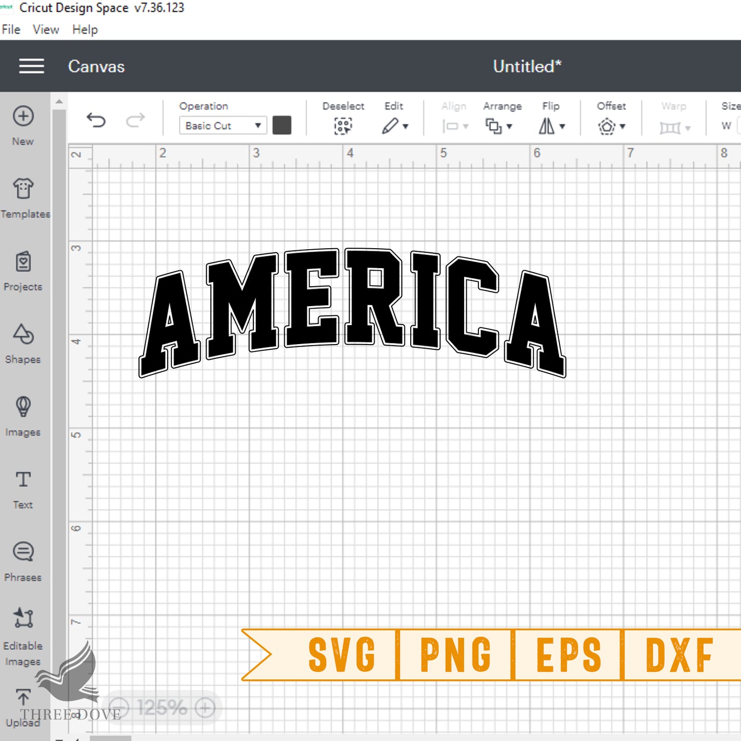 retro america varsity svg