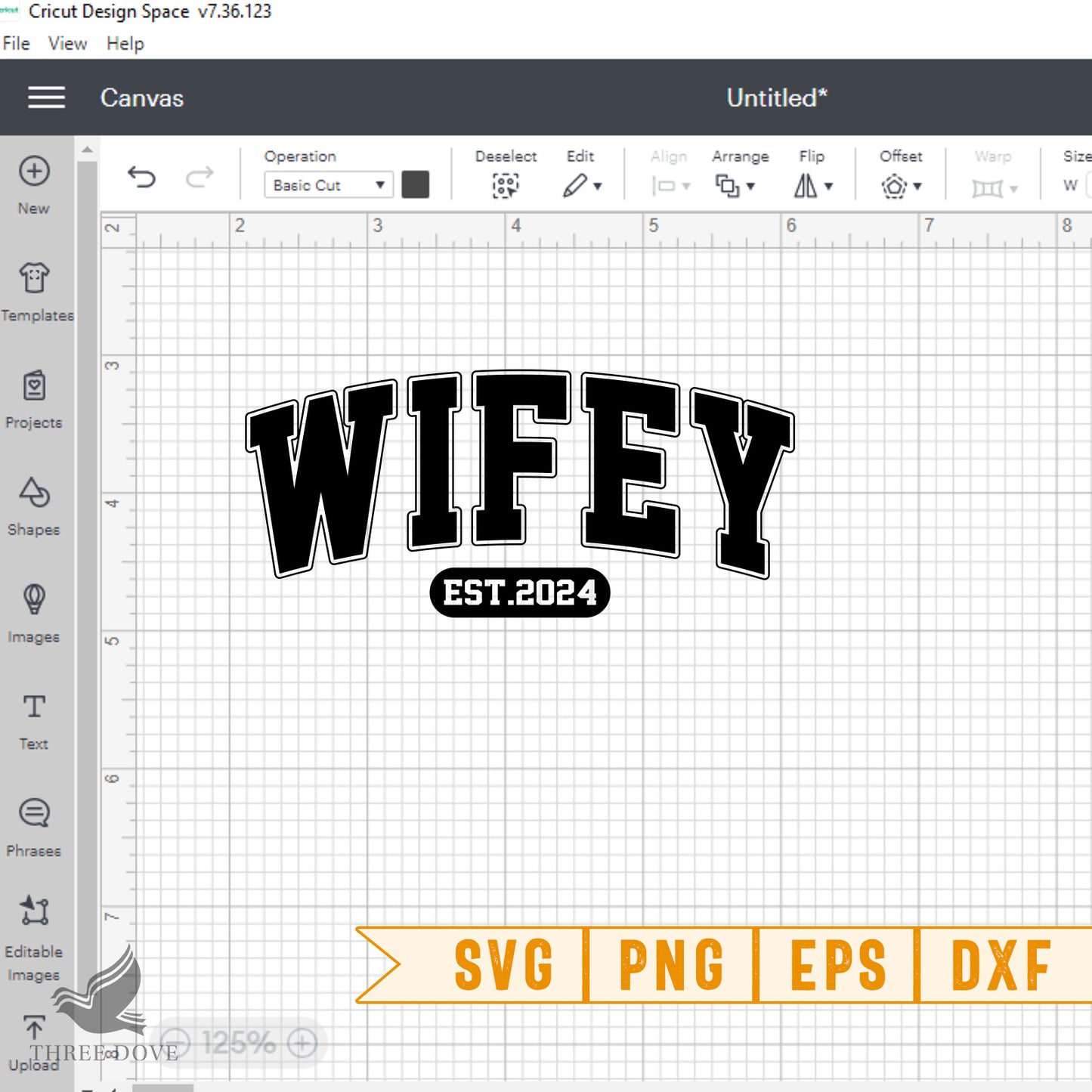 retro wifey est.2024 varsity svg