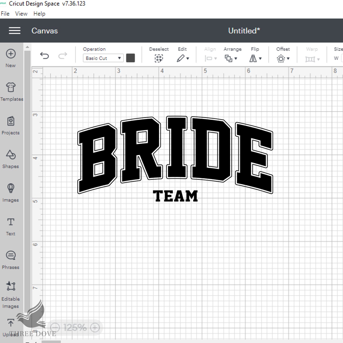 retro bride team varsity svg