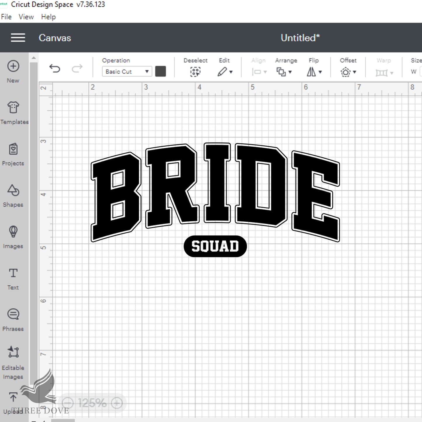 retro bride squad varsity svg