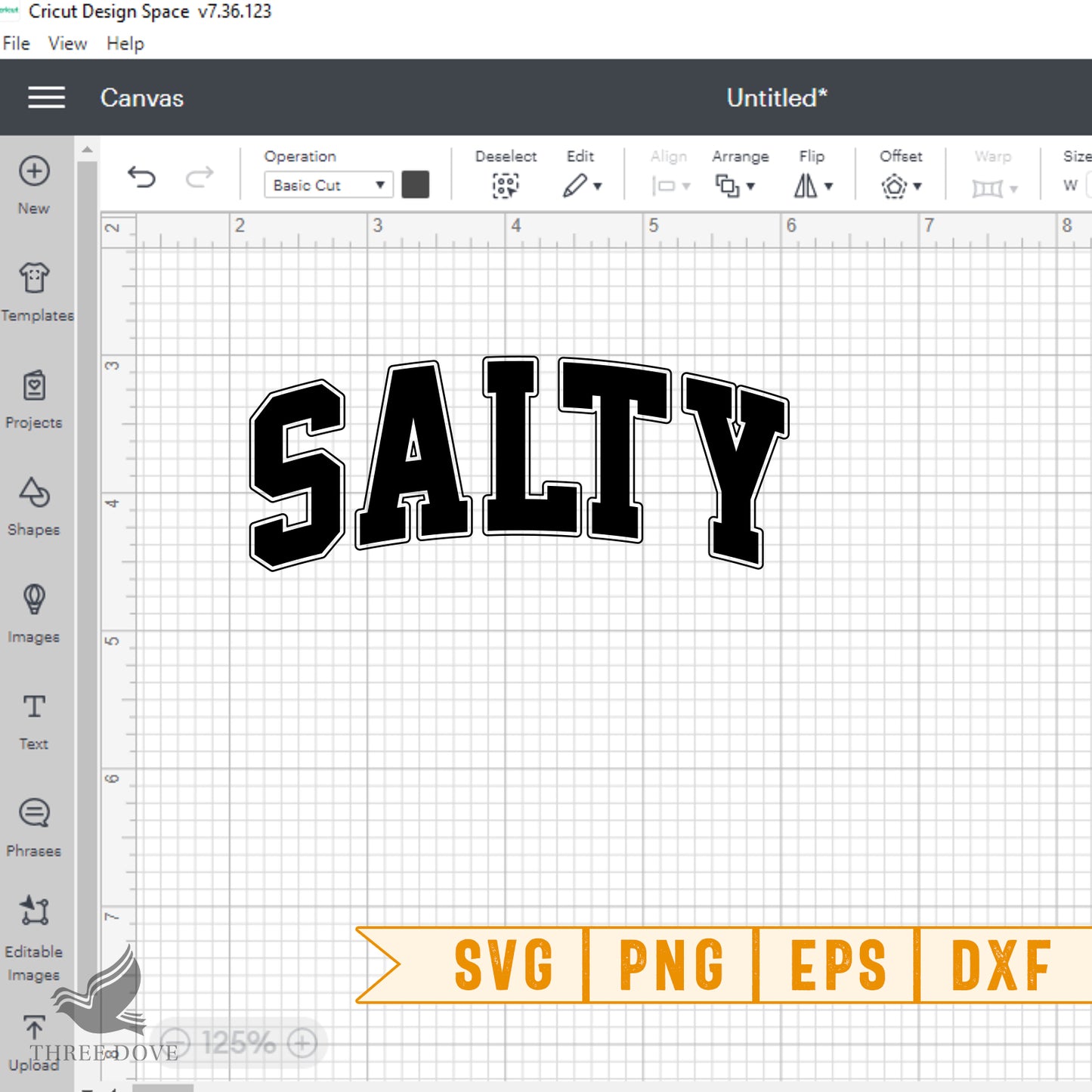 retro salty varsity svg