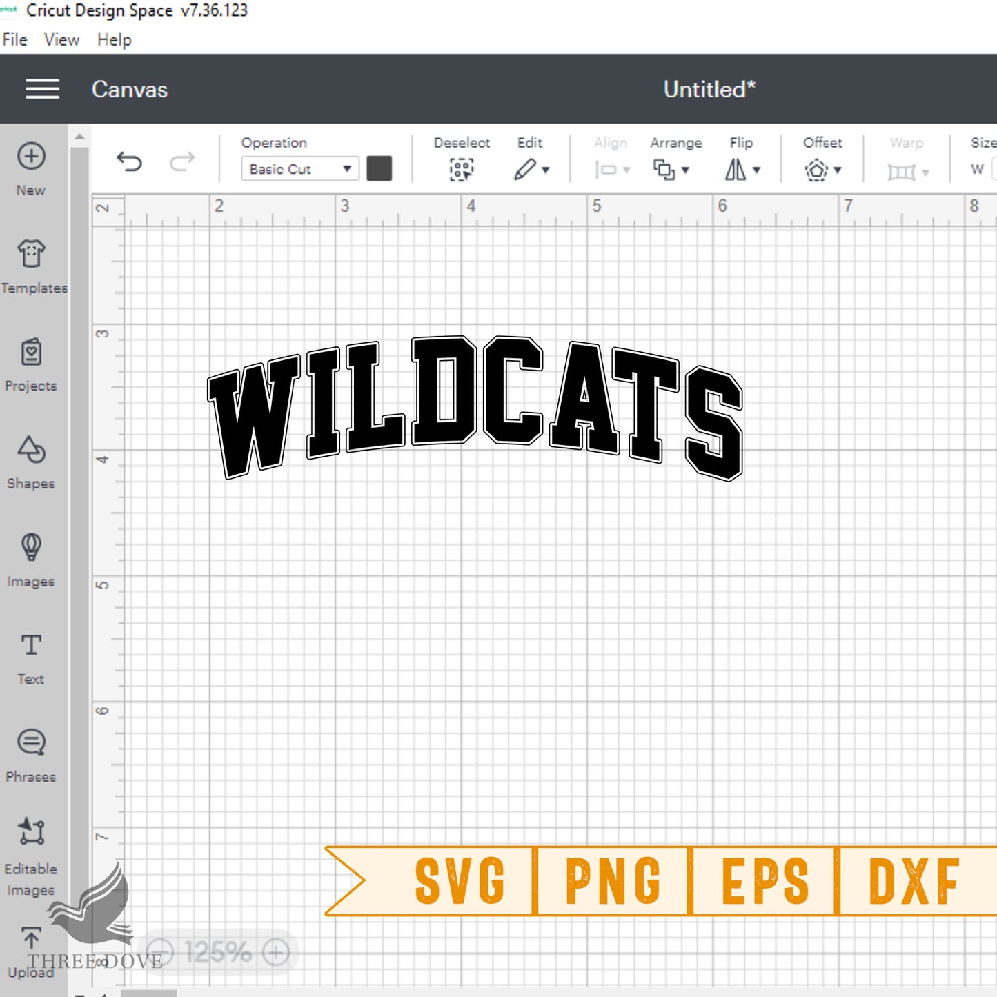 retro wildcats varsity svg