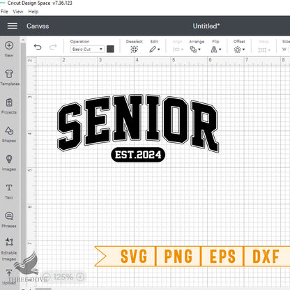 Retro Senior Est.2024 Varsity SVG