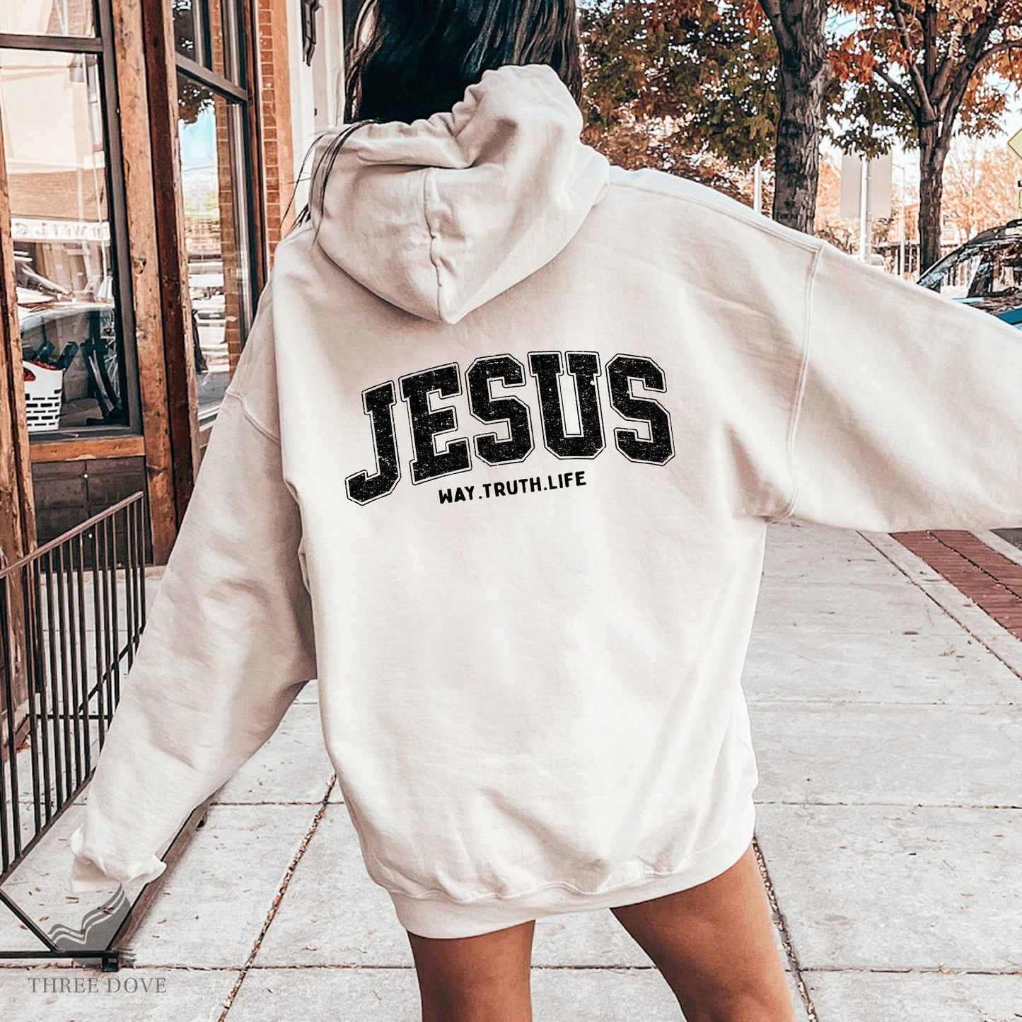 retro jesus way.truth.life varsity sublimation png