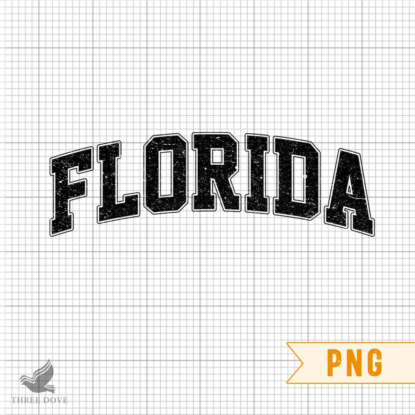 retro florida varsity sublimation png